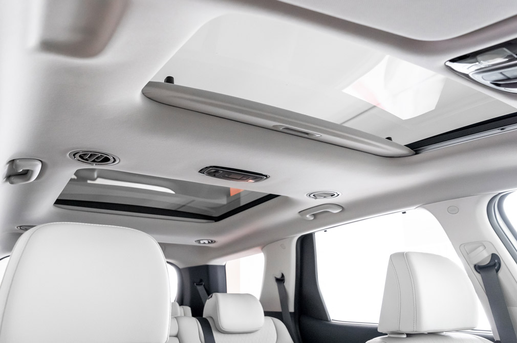 Hyundai Singapore Palisade sunroof