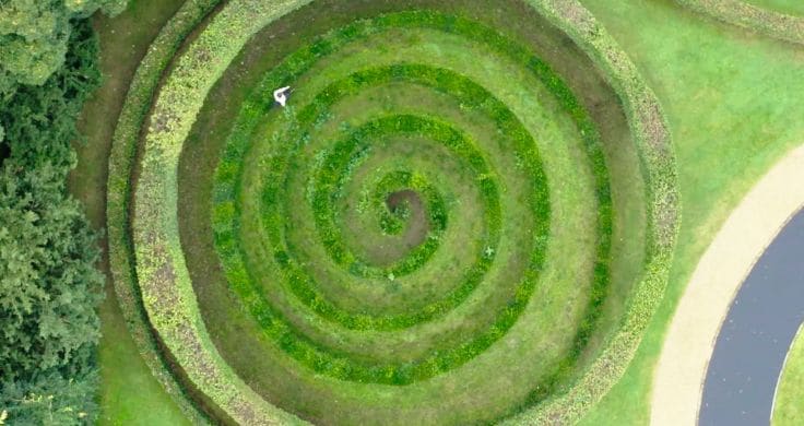 Drone eagle eye picture of forest area